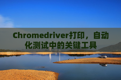 Chromedriver打印,自动化测试中的关键工具 Chromedriver打印,自动化测试中的关键工具