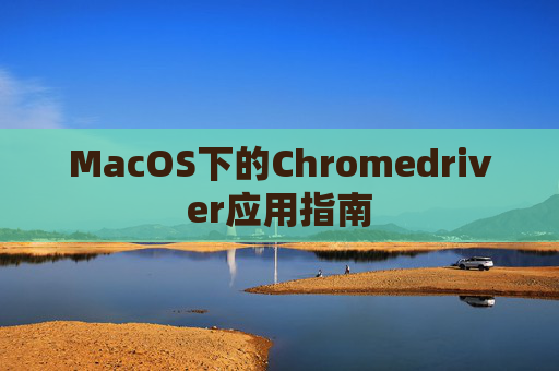 MacOS下的Chromedriver应用指南