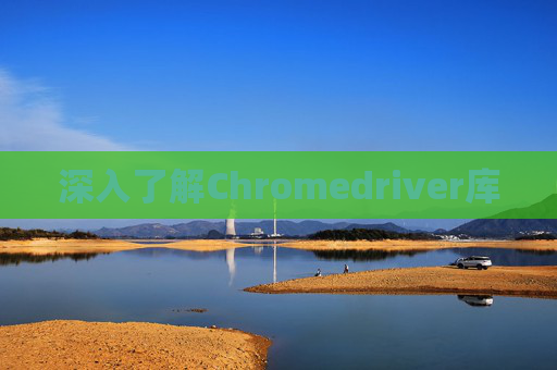 深入了解Chromedriver库